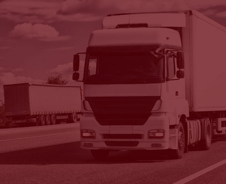 Sobre a Rápido Conaxão Transportes